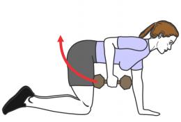 muscler triceps femme