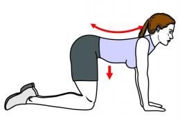 exercice contre mal de dos