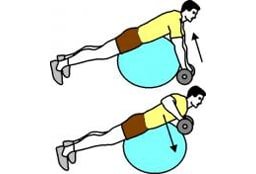 renforcement dos swiss ball