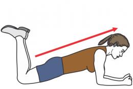 planche genou