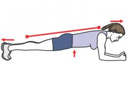 gainage ventral