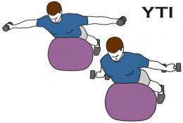 gainage lombaires dorsaux