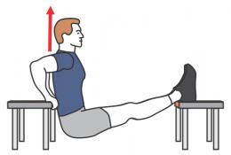 dips triceps