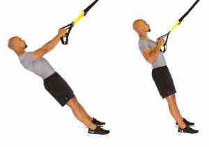 exercice trx dos