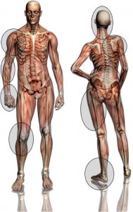 osteopathe
