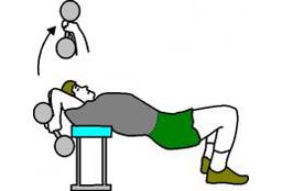 exercice contre dorsalgies
