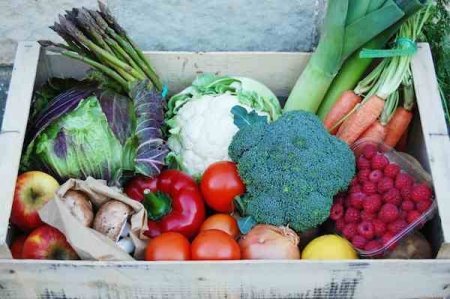 alimentation biologique