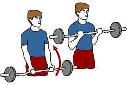 curl barre