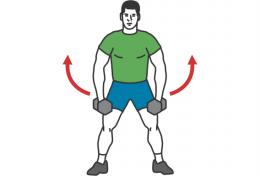 musculation épaules élevation laterale