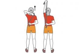 exercice triceps elastique femme