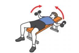 écarté couché musculation pectoraux