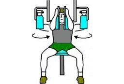 exercice pec deck