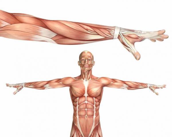 pronation