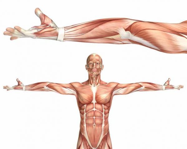 supination