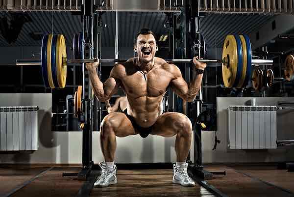 squat musculation