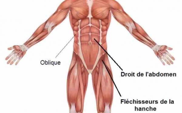 abdominaux sit up