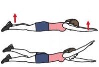 exercice muscles spinaux