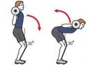 musculation ischio-jambiers