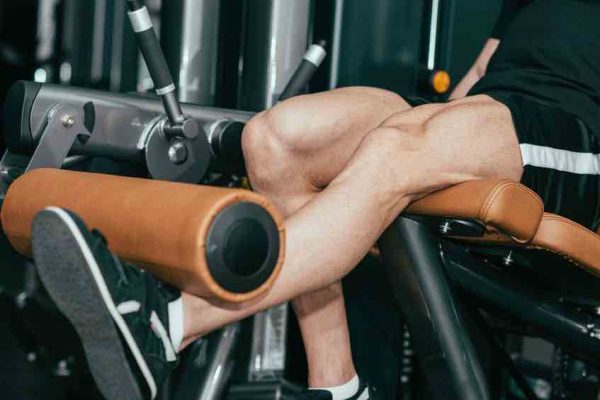 leg extension