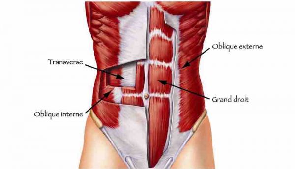 vacuum abdominaux
