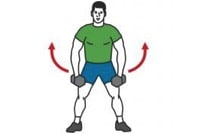exercice musculation deltoide moyen