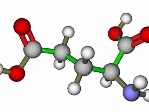 acide aminé glutamique