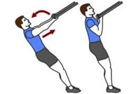exercice biceps trx
