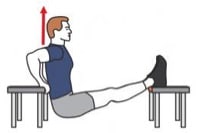 exercice triceps