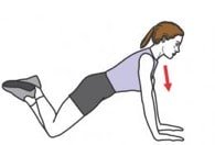 musculation grand dentelé