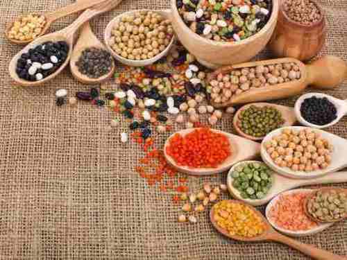 proteines vegetales