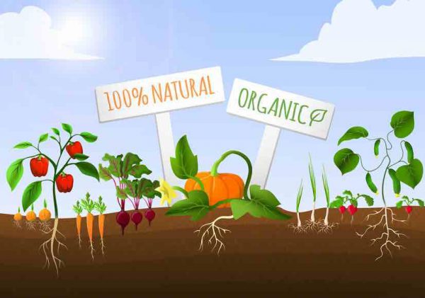 alimentation naturelle