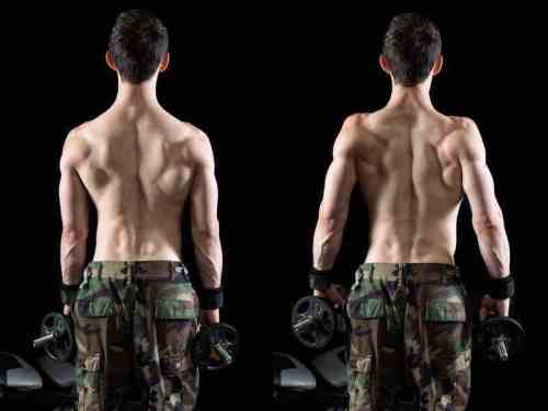 exercice shrug