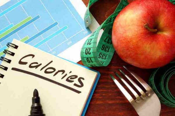 calories par jour