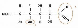 formule chimique glucides