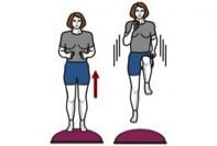 muscler tibial postérieur