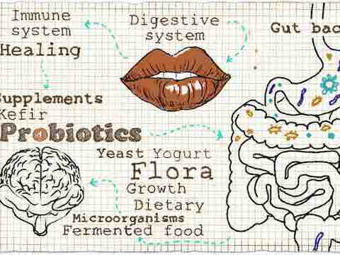 probiotique probiotique