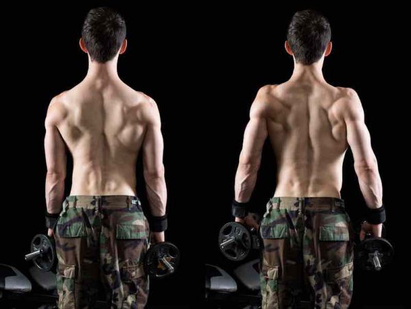 shrug exercice musculation