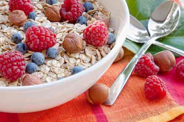 fibres alimentaires