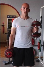 exercice brachial antérieur