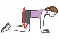 exercice piriforme