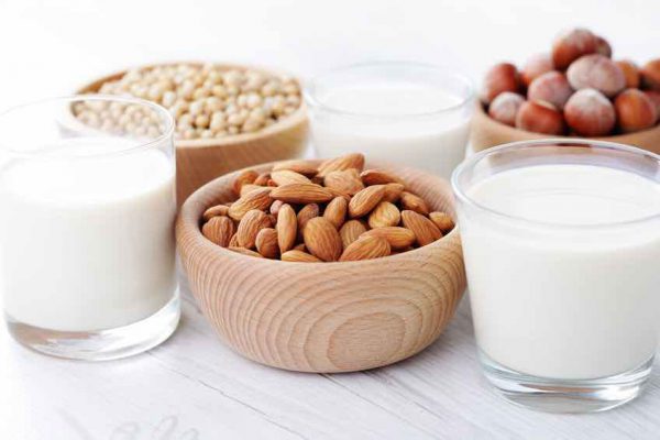 lait végétal