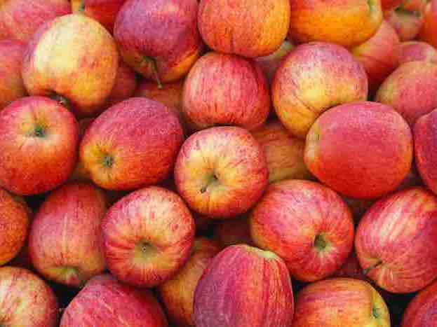 monodiete pommes