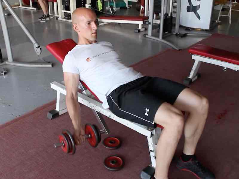 biceps curl haltères