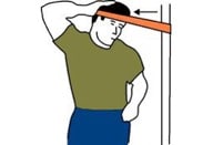 musculation sterno-cléido-mastoïdien