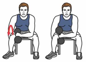 exercice supinateur