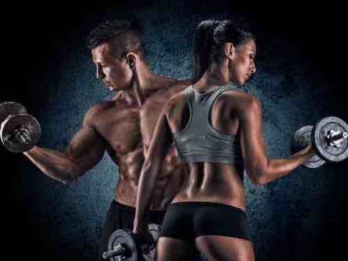 musculation haltere