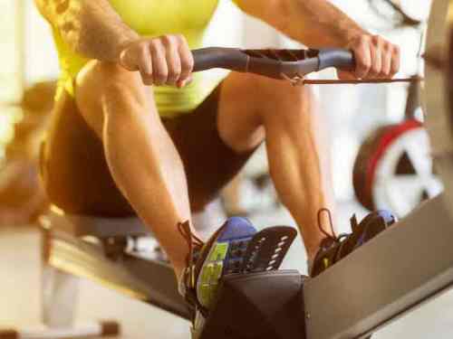 rameur musculation