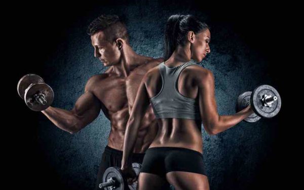 exercice haltère musculation