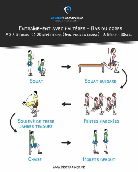 programme haltères bas du corps