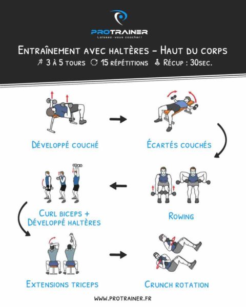 programme haltères haut du corps